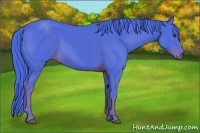 Horse Color:Watercolor Liver Chestnut Sabino 