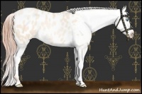 Horse Color:Sable Cream Champagne Pearl Blanket 