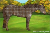 Horse Color:Plaid  Liver Chestnut 