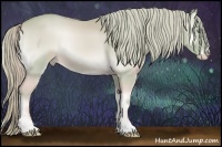 Horse Color:Watercolor Cremello Onyx 