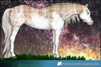 Horse Color:Plaid  White Spotted Silver Brown Ice Splash 