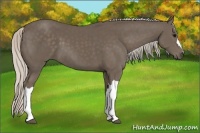 Horse Color:Silver Black 