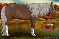 Horse Color:Silver Bay 