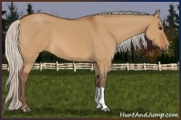 Horse Color:Silver Bay Dun