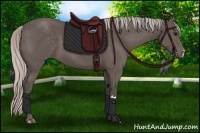 Horse Color:Silver Black 