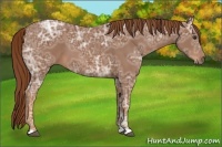 Horse Color:Chestnut Ice 