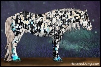 Horse Color:Palomino Onyx Sabino  and Palomino Onyx Sabino Appaloosa 