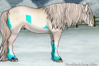 Horse Color:Palomino Pearl Onyx Sabino