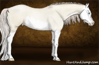 Horse Color:Chocolate Palomino Roan Pearl Dun Splash 
