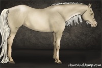 Horse Color:Liver Red Dun Pearl 
