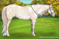 Horse Color:White Spotted Smoky Black Pearl Rabicano 