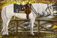 Horse Color:Palomino Varnish 