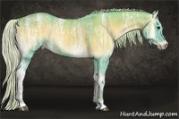 Horse Color:Watercolor Silver Blue Onyx Ice 