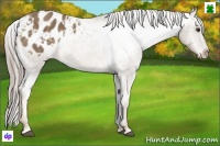 Horse Color:Chocolate Palomino Varnish 