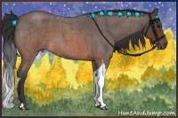 Horse Color:Brown Roan Tobiano 