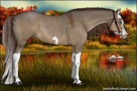 Horse Color:Liver Red Dun Splash Frame 