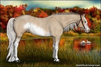 Horse Color:White Spotted Silver Bay Roan Dun Splash Frame Rabicano 