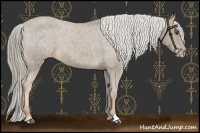 Horse Color:Chocolate Palomino Roan Varnish 