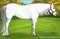 Horse Color:Liver Chestnut Frame