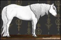 Horse Color:Gray White Spotted Chestnut Leopard 
