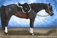 Horse Color:Brown 