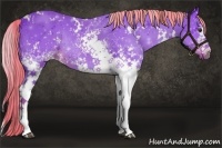 Horse Color:Watercolor White Spotted Liver Chestnut Rabicano 
