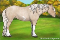 Horse Color:Silver Blue Roan Pearl Tobiano Frame 