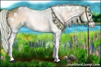 Horse Color:Watercolor White Spotted Silver Blue Onyx Sabino