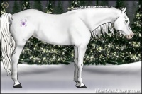 Horse Color:Liver Chestnut Pearl Splash Appaloosa 