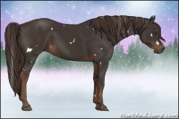 Horse Color:White Spotted Liver Chestnut Sabino 