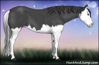 Horse Color:Blue Roan Splash Varnish 