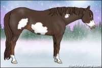 Horse Color:Liver Chestnut Frame 