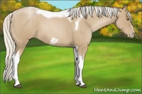 Horse Color:Silver Blue Roan Pearl Tobiano Frame