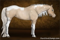 Horse Color:Silver Blue Roan Pearl Tobiano Frame