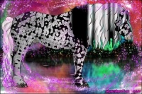 Horse Color:Watercolor Chestnut Sabino Splash Leopard 