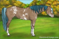 Horse Color:Painted White Spotted Bay Dun Splash 