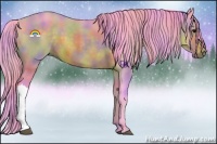 Horse Color:Nacre Watercolor Bay 