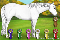 Horse Color:Gray Buckskin Sabino Splash Tobiano Rabicano