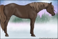 Horse Color:Liver Chestnut 