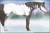 Horse Color:Liver Chestnut Frame Snowcap 