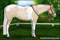 Horse Color:Silver Blue Roan Pearl Tobiano Frame