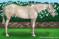 Horse Color:White Spotted Chocolate Palomino Pearl Sabino