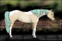 Horse Color:Painted Silver Grullo Roan Pearl Tobiano 