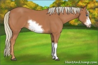 Horse Color:Chestnut Frame