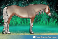Horse Color:Silver Blue Onyx 