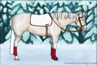 Horse Color:Silver Perlino Tobiano