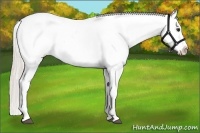 Horse Color:Silver Bay Roan Dun Sabino Snowflake VarnishRabicano