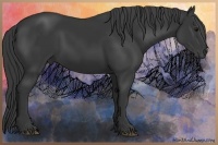 Horse Color:Black 