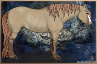 Horse Color:Liver Red Dun Rabicano 