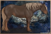 Horse Color:Liver Chestnut 